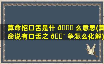 算命招口舌是什 🕊 么意思(算命说有口舌之 🌴 争怎么化解)